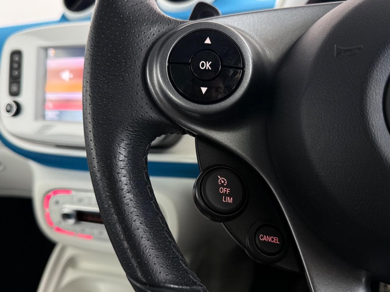 SMART fortwo thumbnail Misc Controls